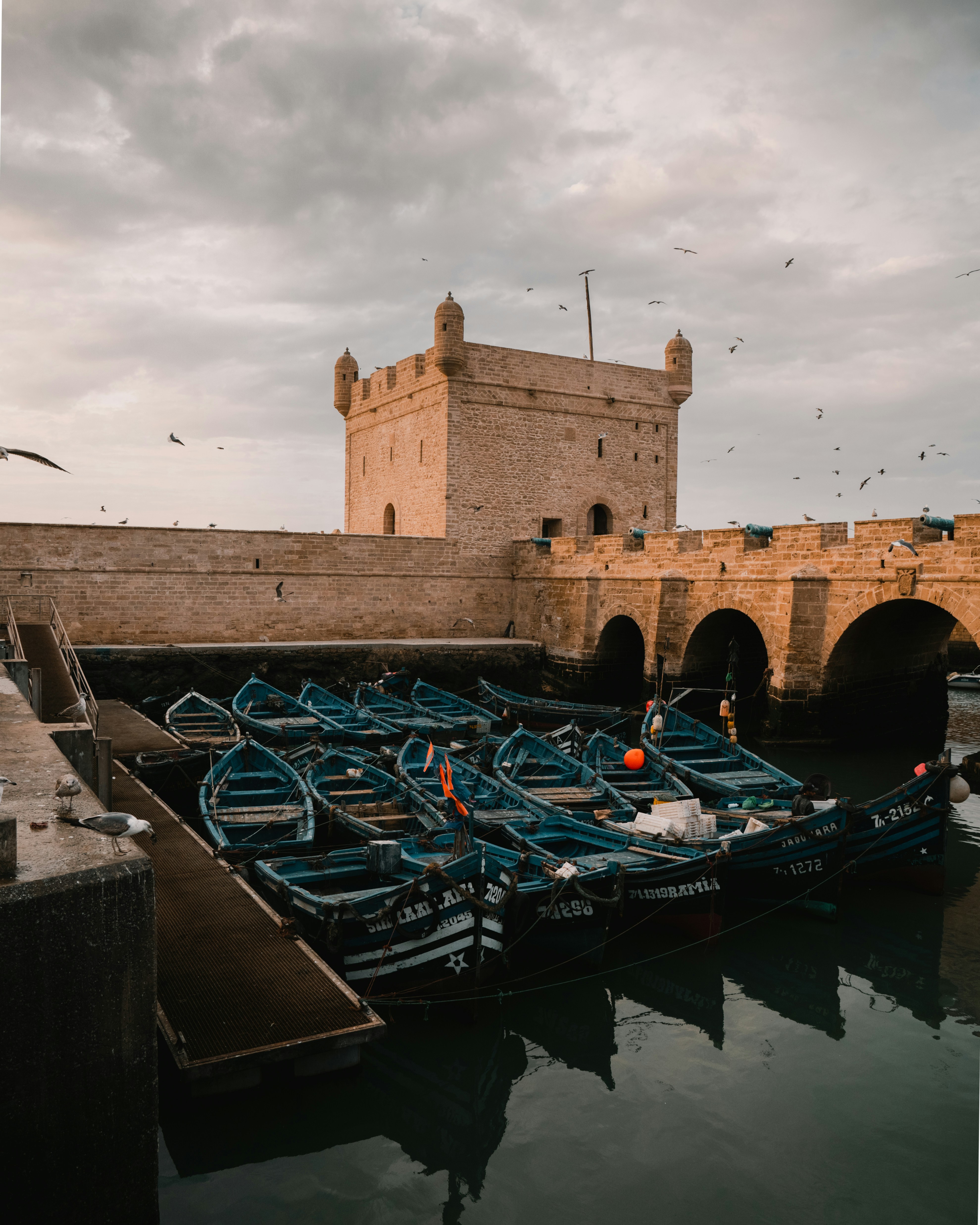 Essaouira day trip